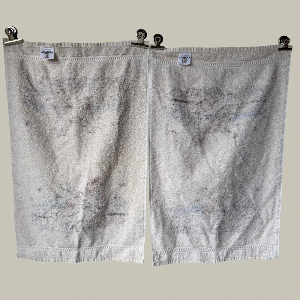 Vintage RA Briggs Mallard Duck Hand Towels Set of 2 Cream Rustic Cabin Lodge